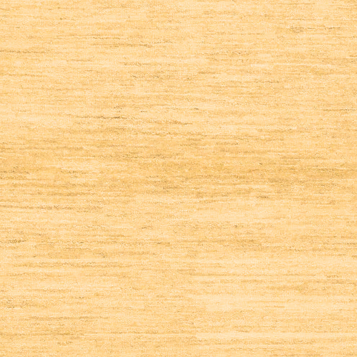 Machine Washable Solid Brown Modern Rug, wshabs1394brn