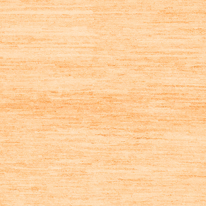 Solid Orange Modern Rug, abs1394org