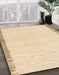Machine Washable Abstract Khaki Gold Rug in a Family Room, wshabs1403