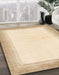 Abstract Golden Blonde Gold Solid Rug in Family Room, abs1407