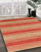 Machine Washable Abstract Mango Orange Rug in a Family Room, wshabs1410