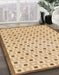 Machine Washable Abstract Bronze Brown Rug in a Family Room, wshabs1430