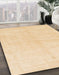 Machine Washable Abstract Sun Yellow Rug in a Family Room, wshabs1460