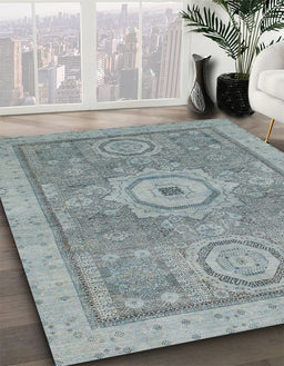 Machine Washable Abstract Baby Blue Rug in a Family Room, wshabs1463