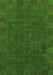 Oriental Green Modern Rug, abs1482grn