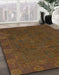 Machine Washable Abstract Red Brown Rug in a Family Room, wshabs1482