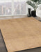 Abstract Bronze Brown Modern Rug in Family Room, abs1498