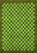 Checkered Green Modern Rug, abs1500grn