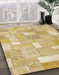 Machine Washable Abstract Mustard Yellow Rug in a Family Room, wshabs1509