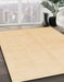 Machine Washable Abstract Brown Gold Rug in a Family Room, wshabs1520