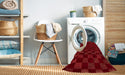 Machine Washable Abstract Red Rug in a Washing Machine, wshabs1539