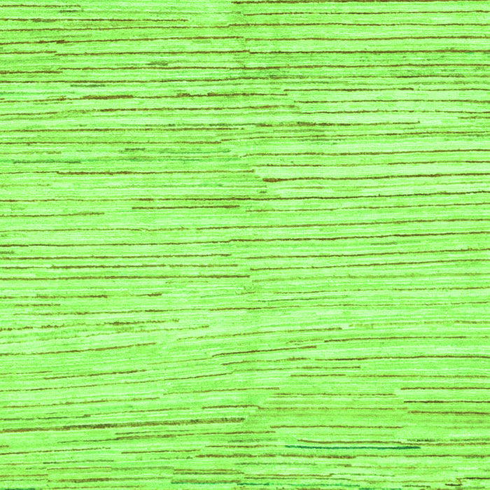 Machine Washable Solid Green Modern Area Rugs, wshabs1545grn