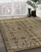 Machine Washable Abstract Red Brown Rug in a Family Room, wshabs154