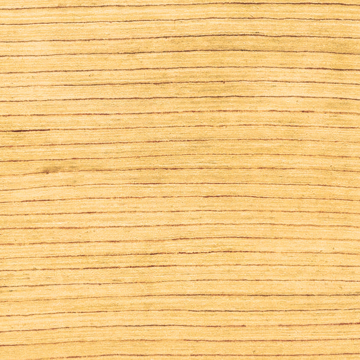 Machine Washable Solid Brown Modern Rug, wshabs1551brn