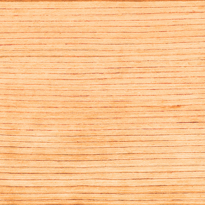 Square Machine Washable Solid Orange Modern Area Rugs, wshabs1551org