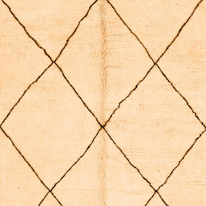 Solid Orange Modern Rug, abs1554org