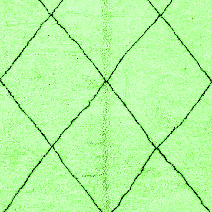 Solid Green Modern Rug, abs1554grn