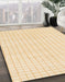 Machine Washable Abstract Khaki Gold Rug in a Family Room, wshabs1563