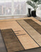 Machine Washable Abstract Brown Sand Brown Rug in a Family Room, wshabs1587