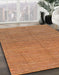 Machine Washable Abstract Orange Rug in a Family Room, wshabs1591