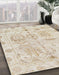 Machine Washable Abstract Tan Brown Gold Rug in a Family Room, wshabs1609