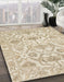 Abstract Camel Brown Modern Rug in Family Room, abs1610