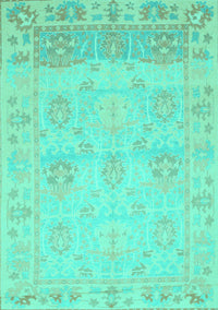 Oriental Turquoise Traditional Rug, abs1611turq