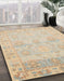 Abstract Brown Oriental Rug in Family Room, abs1611