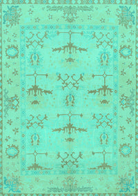 Oriental Turquoise Traditional Rug, abs1612turq