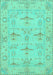 Oriental Turquoise Traditional Rug, abs1612turq