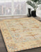 Abstract Brown Sand Brown Oriental Rug in Family Room, abs1612