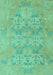 Oriental Turquoise Traditional Rug, abs1613turq