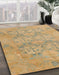 Machine Washable Abstract Caramel Brown Rug in a Family Room, wshabs1613
