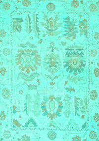 Oriental Turquoise Traditional Rug, abs1614turq