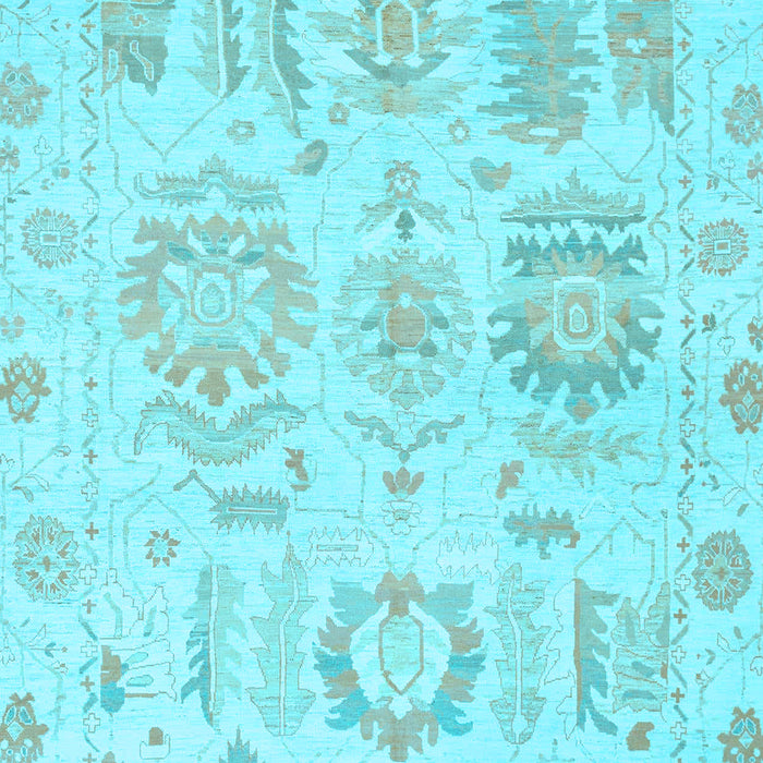 Machine Washable Oriental Light Blue Traditional Rug, wshabs1614lblu