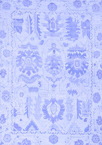 Oriental Blue Traditional Rug, abs1614blu