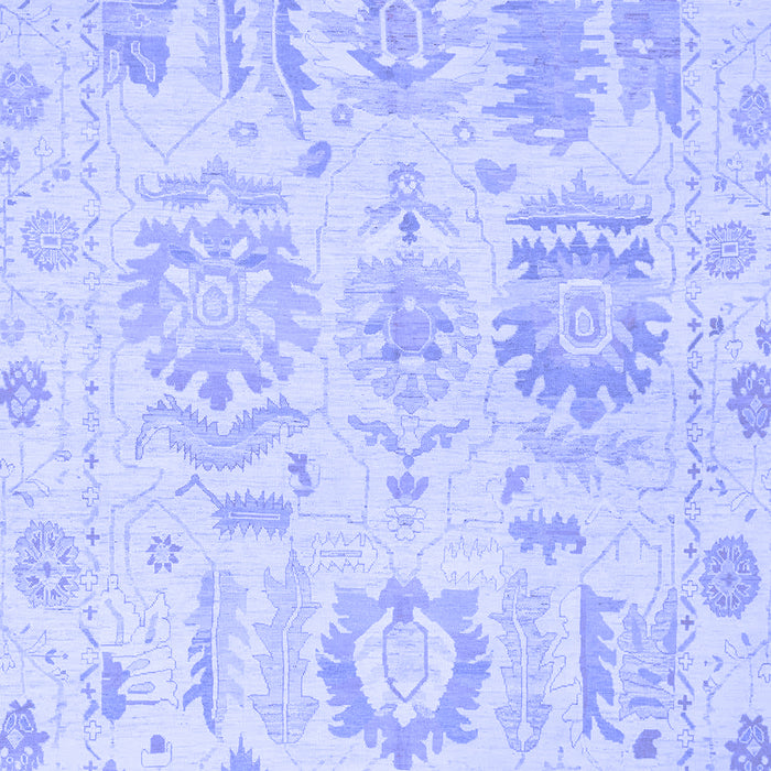 Oriental Blue Traditional Rug, abs1614blu