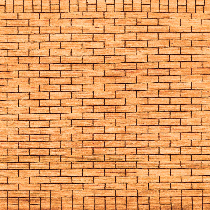 Square Machine Washable Solid Orange Modern Area Rugs, wshabs1631org