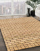 Machine Washable Abstract Chocolate Brown Rug in a Family Room, wshabs1631