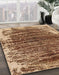 Machine Washable Abstract Dark Sienna Brown Rug in a Family Room, wshabs1634