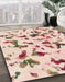 Machine Washable Abstract Copper Red Pink Rug in a Family Room, wshabs1635