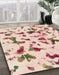 Abstract Copper Red Pink Modern Rug in Family Room, abs1635