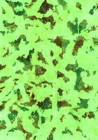 Abstract Green Modern Rug, abs1635grn