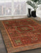 Machine Washable Abstract Light Brown Rug in a Family Room, wshabs1637