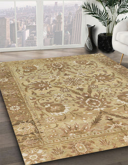Machine Washable Abstract Light Brown Rug in a Family Room, wshabs1648