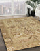 Machine Washable Abstract Light Brown Rug in a Family Room, wshabs1648