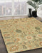 Machine Washable Abstract Cinnamon Brown Rug in a Family Room, wshabs1650