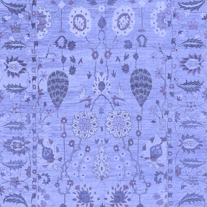 Oriental Blue Traditional Rug, abs1650blu