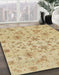 Machine Washable Abstract Gold Rug in a Family Room, wshabs1656