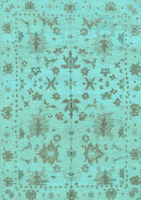 Oriental Light Blue Traditional Rug, abs1656lblu